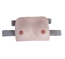 DM-GP6622 佩带式乳房自检模型    