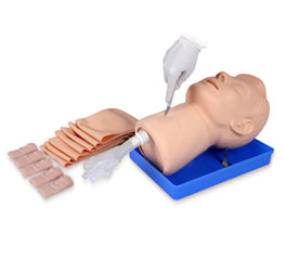 DM-FA6803 环甲膜穿刺模型