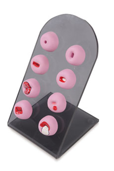 DM-GP6611 宫颈病变模型    