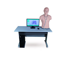 DM-PE6411/1 智能化心肺检查教学系统（教师机）   