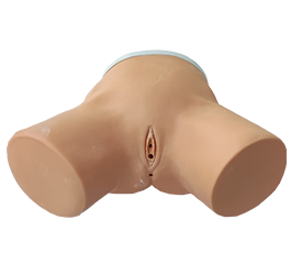 DM-CS6233 女性导尿模型