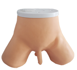 DM-CS6232 男性导尿模型