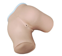 DM-NS6034 灌肠练习模型